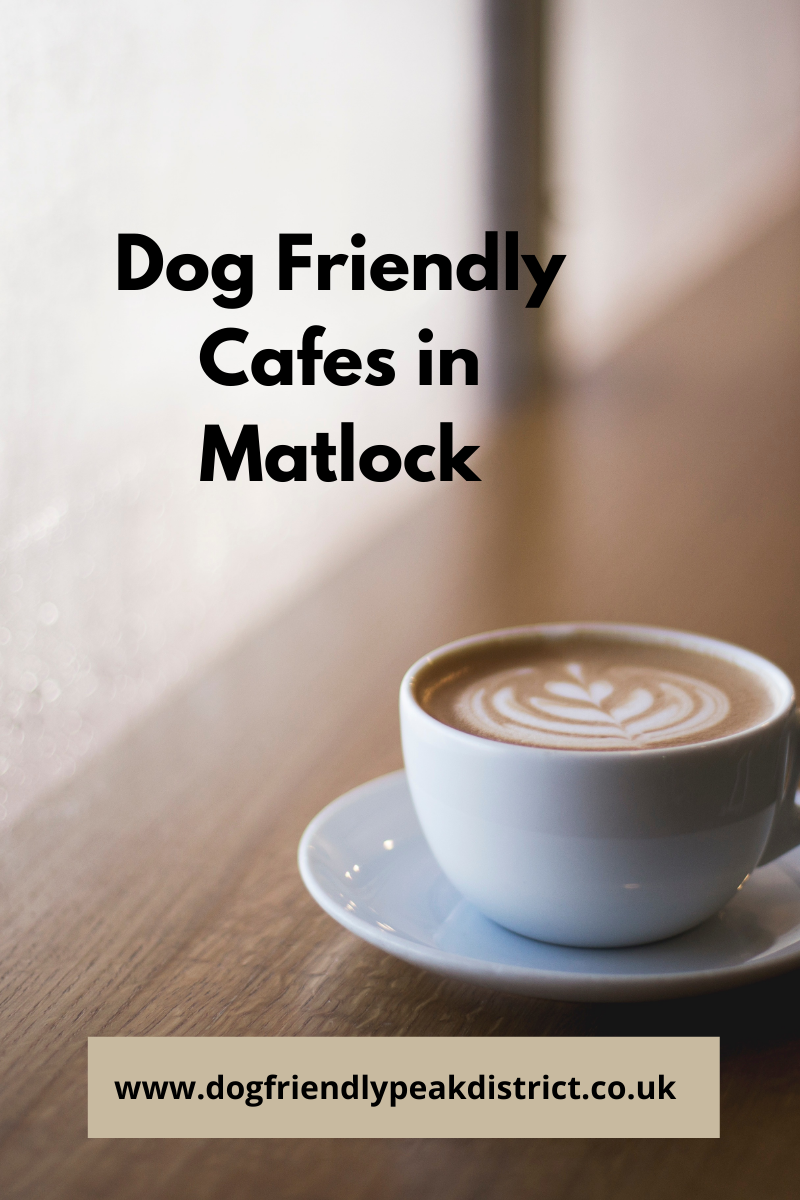 Find a Dog Friendly Cafe in Matlock Dog Friendly Peak District