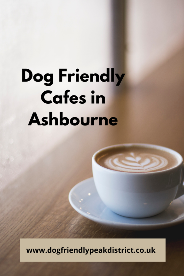 dog-friendly-cafes-in-ashbourne-dog-friendly-peak-district