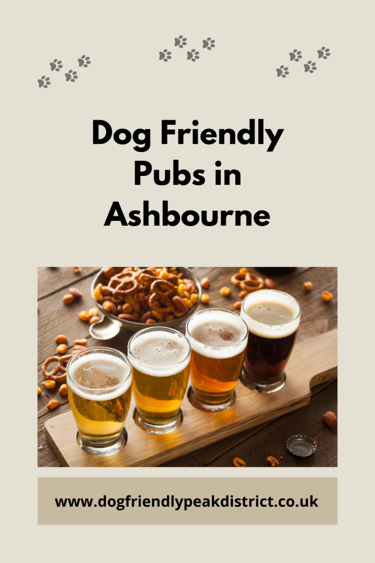 dog-friendly-pubs-near-ashbourne-dog-friendly-peak-district